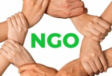Ngo 01
