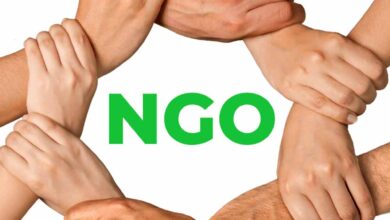 Ngo 01