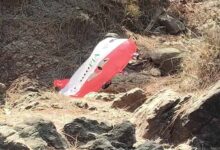 PIA 01