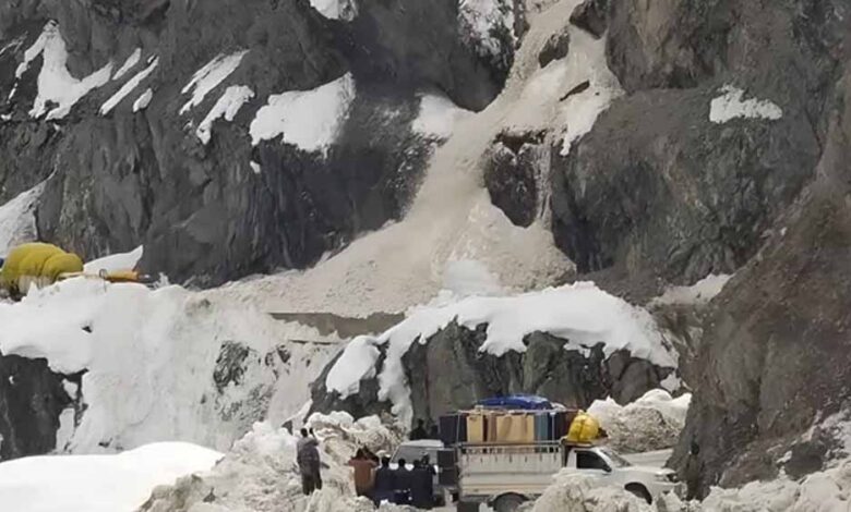 श्रीनगर-लेह हाईवे पर बर्फीला कहर: एवलांच में 6 की मौत, रेस्क्यू ऑपरेशन जारी 1 Shree