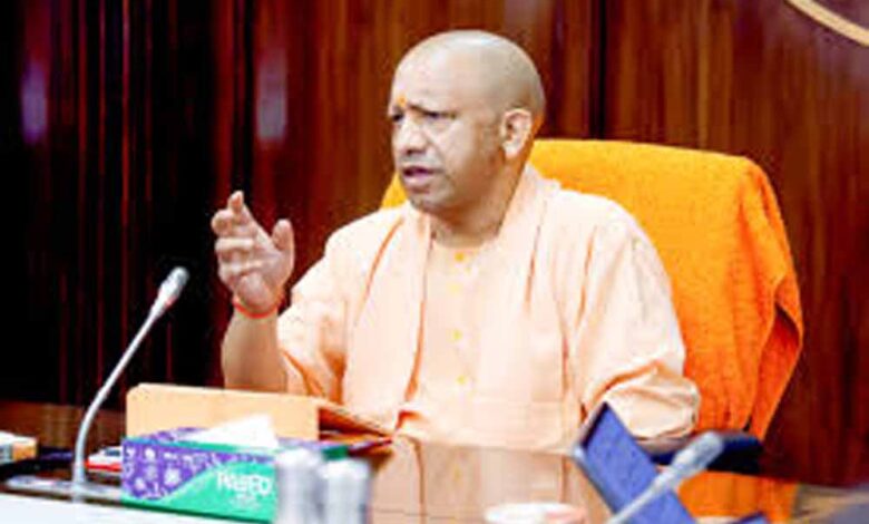 Yogi 02 9