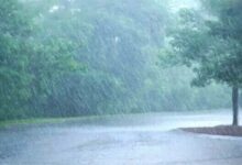 barish1 1