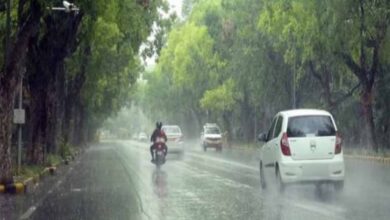 barish8 4