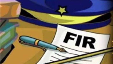 fir