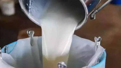 31 जिलों की महिलाओं ने किया पांच हजार करोड़ का दूध का कारोबार 9 milk 3 4 1
