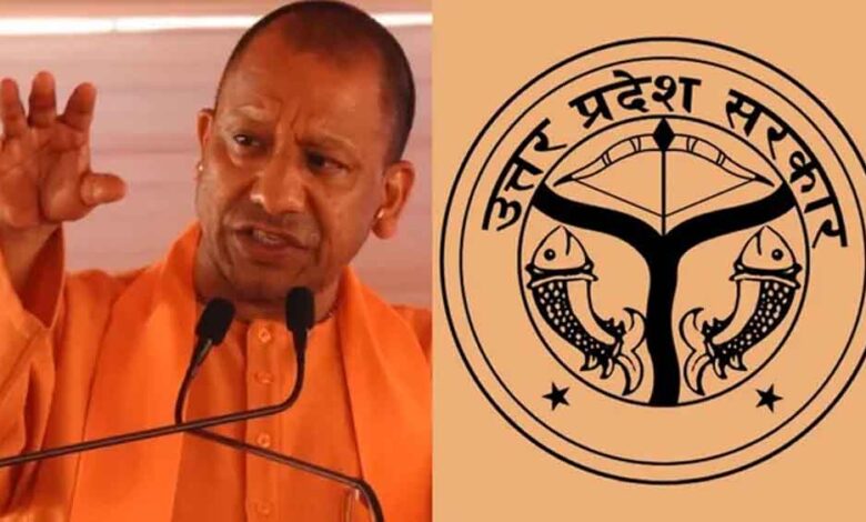 yogi