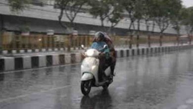 बेमौसम मार, उत्तर भारत में बारिश और ओलावृष्टि से गेहूं की फसल बर्बाद और लुढ़का पारा 2 11 8