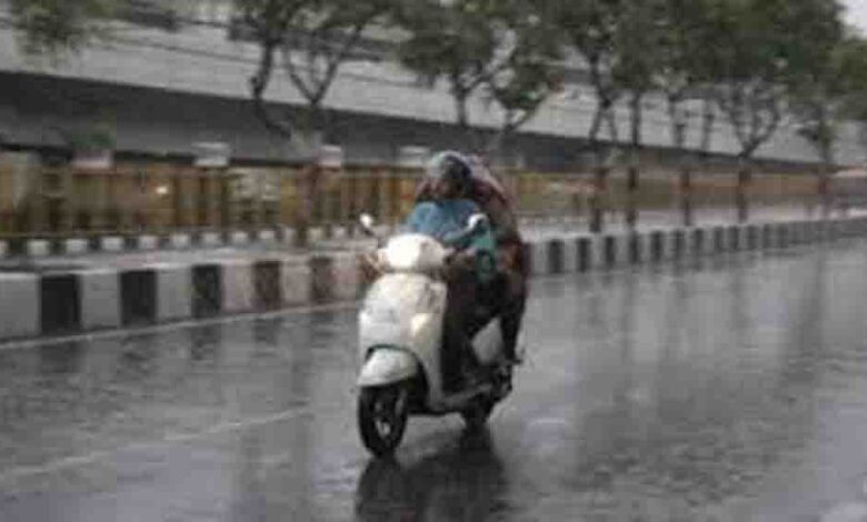 बेमौसम मार, उत्तर भारत में बारिश और ओलावृष्टि से गेहूं की फसल बर्बाद और लुढ़का पारा 1 11 8