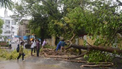 लखनऊ समेत कई जिलों में आंधी-बारिश का कहर: 18 की मौत, बिजली व्यवस्था ठप 7 12 25