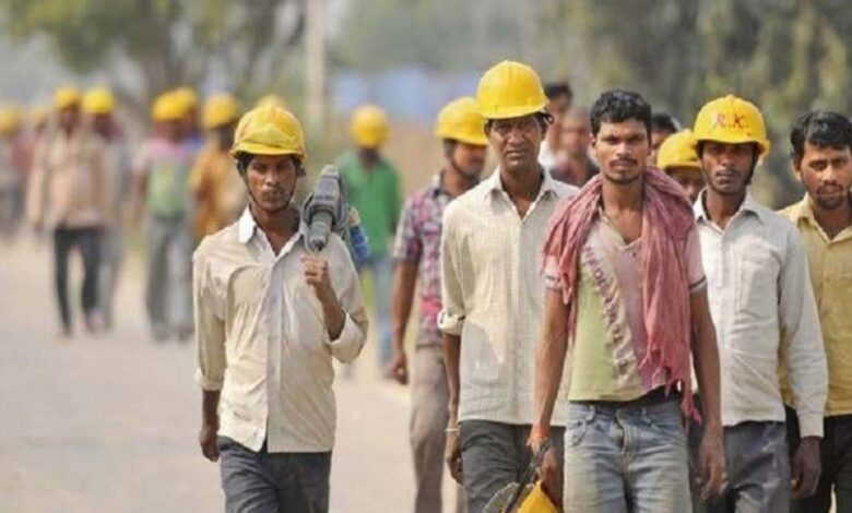 दिहाड़ी मजदूरों के लिए बड़ी राहत, केंद्र सरकार करेगी दाल-रोटी की समस्या का हल 1 17 A 53