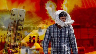 प्रचंड गर्मी से बढ़ा 'मेगा अल नीनो' का खौफ, 149 साल पहले 4% आबादी का हुआ था सफाया 3 21A 193