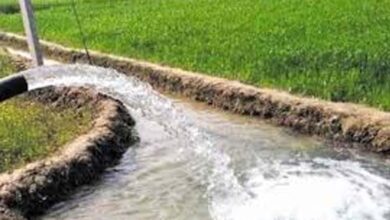 मध्य प्रदेश के 678 गांवों को चूमेगी हरियाली, वॉटर प्रोजेक्ट पर मोहन सरकार बहाएगी पैसा 4 23A 239