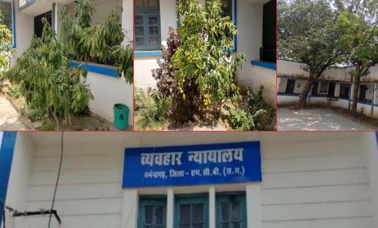 हरियाली की गोद में न्याय का मंदिर:मनेन्द्रगढ़ न्यायालय परिसर बना प्रकृति का मनमोहक आंगन 1 24A 21