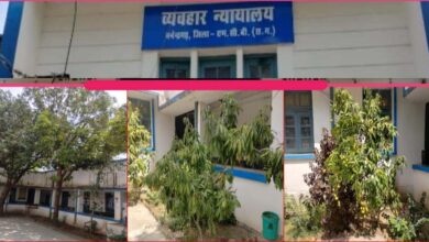 हरियाली से महका मनेन्द्रगढ़ न्यायालय परिसर, फलदार वृक्ष बने आकर्षण का केंद्र 1 25A 13