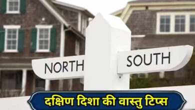 वास्तु के अनुसार दक्षिण दिशा में क्या करें और क्या नहीं? 7 64 10