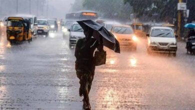 गुरदासपुर में बारिश से मौसम हुआ ठंडा: पारा 5 डिग्री गिरा, जल्द फिर चढ़ेगा तापमान 10 Chhattisgarh News 04 2 6