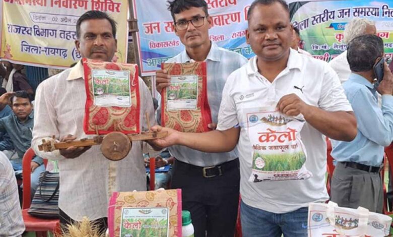 लैलूंगा की पहचान बना ‘केलो’ जैविक जंवाफूल चावल 1 Jamphool