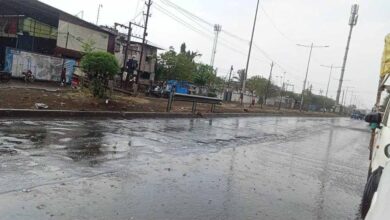 MP News 12 2