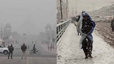 पंजाब में बदला मौसम का मिजाज: बादलों की चादर से तापमान में आई गिरावट 1 Punjab News 02 1 15