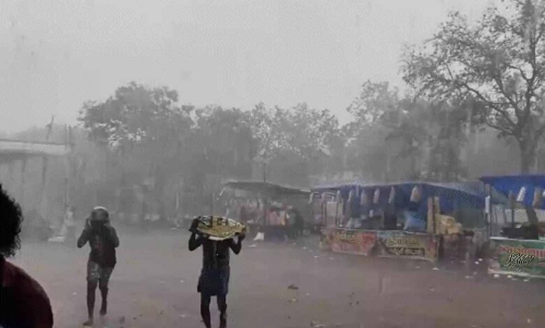 पंजाब मौसम अपडेट: 14 अप्रैल तक बारिश-तूफान की चेतावनी, तापमान में 7°C तक उछाल 1 Punjab News 02 1 7