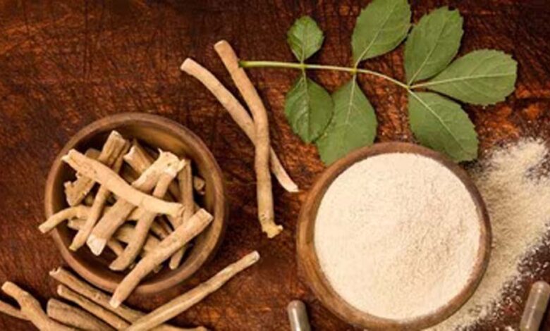 FSSAI का बड़ा फैसला: अश्वगंधा की पत्तियों पर रोक क्यों? जानें जड़ के फायदे और नुकसान 1 aswgandha