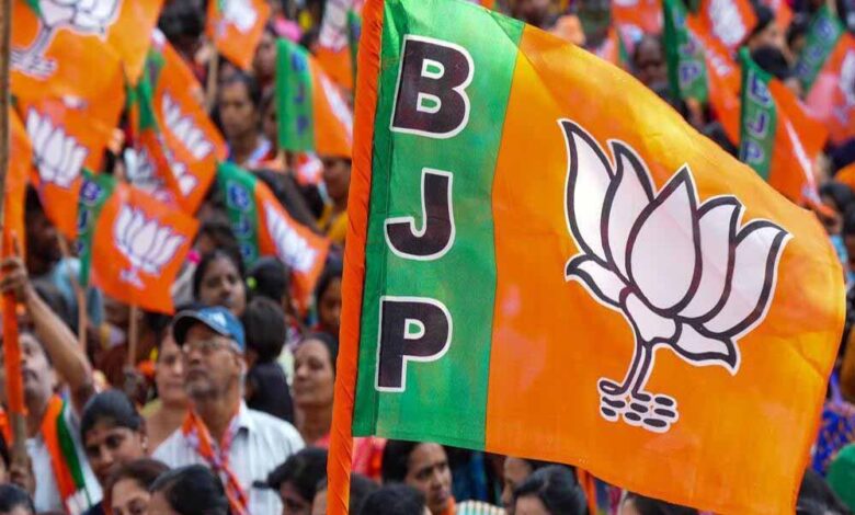 bjp53 3