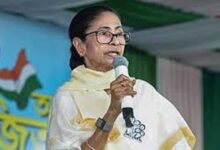 mAMTA 010