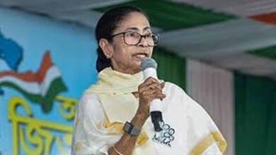 mAMTA 010