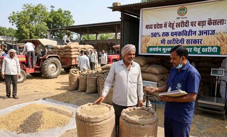 मध्य प्रदेश में गेहूं खरीदी पर बड़ा फैसला: 50% तक चमकविहीन अनाज भी खरीदेगी सरकार 1 mP 01 1