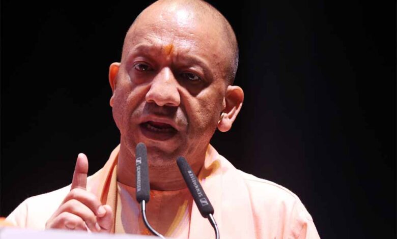 yogi 3