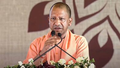 yogi1 4