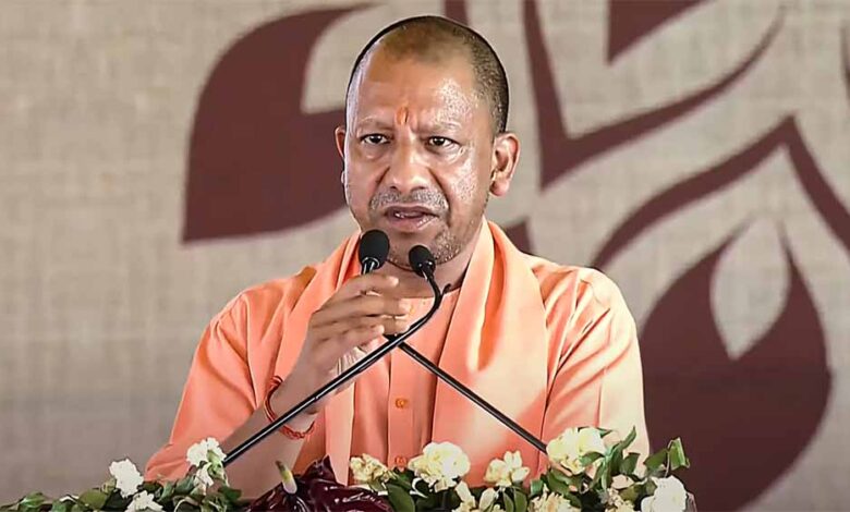 yogi1 4