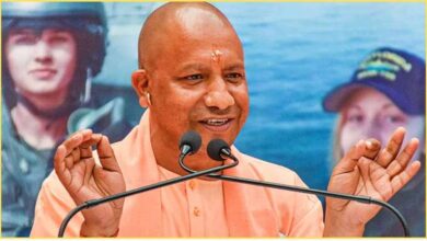 yogi111 4
