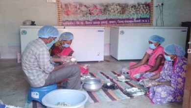सीताफल उत्पादन एवं प्रसंस्करण से महिला स्व-सहायता समूहों की आर्थिक स्थिति में सुधार 3 11A 168