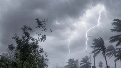 छत्तीसगढ़ में मौसम का कहर! कई जिलों में आंधी-बारिश और बिजली गिरने का ऑरेंज अलर्ट जारी 2 15A 103