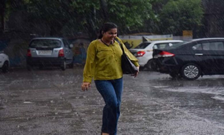 पंजाब में बदला मौसम, 7 मई तक बारिश और तेज धूल भरी हवा के लिए यलो अलर्ट 1 2A 29