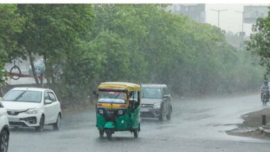 पंजाब में मौसम ने बदला मिजाज, चंडीगढ़, पंचकूला और मोहाली में तेज आंधी और बारिश 9 3A 21