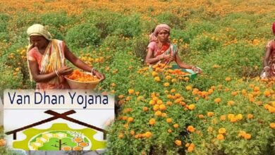 नारी शक्ति वंदन: वन धन केन्द्रों से आत्मनिर्भर बन रहीं जनजातीय वर्ग की महिलाएं 5 6A 231