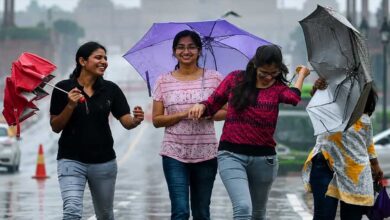 प्रदेश में दो सिस्टम एक्टिव, 13 जिलों में आंधी-बारिश का अलर्ट; जबलपुर और रीवा संभाग प्रभावित 4 9A 121