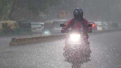 पंजाब में 11 मई से मौसम होगा बिगड़ा, आंधी-बारिश और गिरता तापमान 5 9A 56