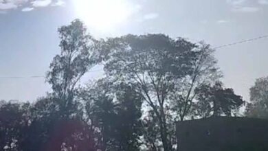 छत्तीसगढ़ में मौसम का अलर्ट: गरज-चमक के साथ बारिश, 50 KM/H की रफ्तार से चलेंगी हवाएं 3 Chhattisgarh News 04 1 6