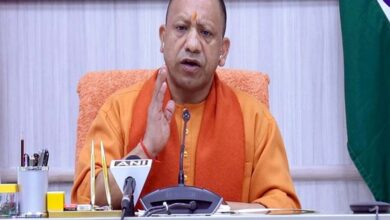 Yogi 02 3