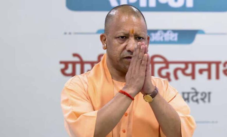 Yogi 02 9