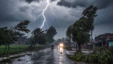 यूपी में 5 दिन तक बारिश, आंधी और बिजली गिरने की चेतावनी जारी 6 bARISH 01