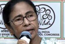 mAMTA 01 3