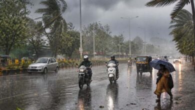 पंजाब में तीन दिन ड्राई वेदर, 11 मई से बारिश की संभावना; यलो अलर्ट जारी 4 rain 116 1