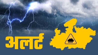 MP के 8 जिलों में बारिश का अलर्ट, 30-40 किमी/घंटा की रफ्तार से आंधी; भोपाल-इंदौर में तेज गर्मी जारी 3 rain 81 1