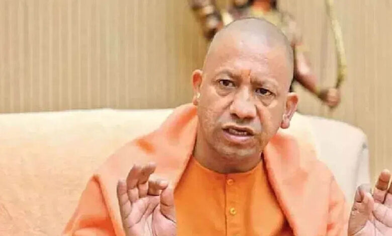 yogi 98 2