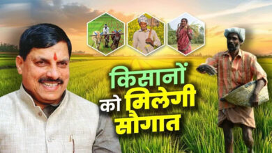 धान महोत्सव में किसानों की बल्ले-बल्ले! CM डॉ. मोहन यादव 1 जुलाई को सिवनी से जारी करेंगे ₹2.82 करोड़ 10 30A 169