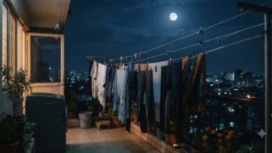 रात में कपड़े धोने से क्यों मना करता है वास्तु, जानें कारण 4 112 9